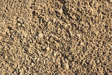 The texture of the sand.