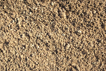 The texture of the sand.