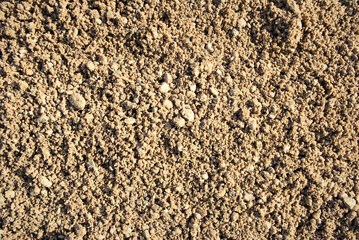 The texture of the sand.