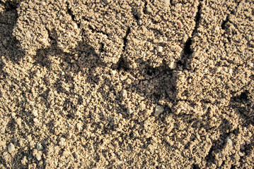 The texture of the sand.