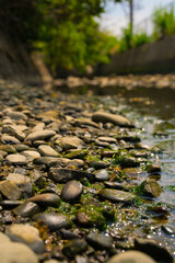 流れが穏やかな小川