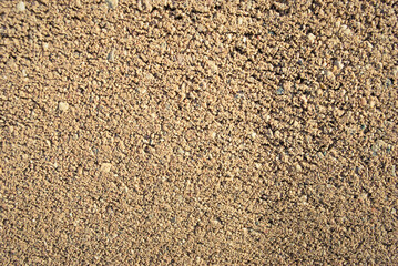 The texture of the sand.