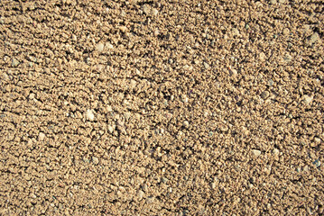 The texture of the sand.