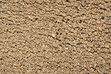 The texture of the sand.