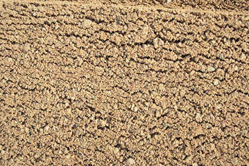 The texture of the sand.