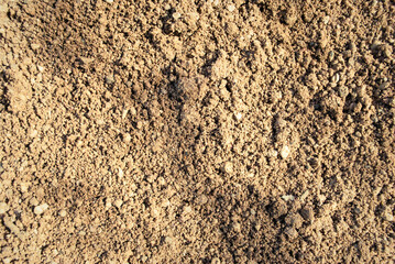 The texture of the sand.
