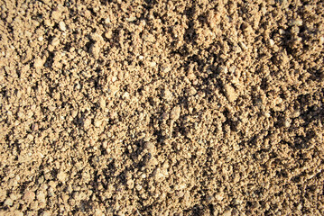 The texture of the sand.