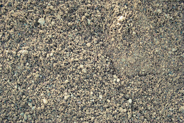 The texture of the sand.