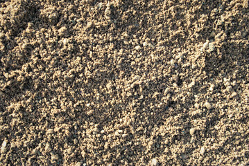 The texture of the sand.