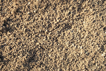 The texture of the sand.