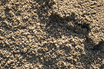 The texture of the sand.