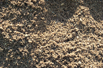 The texture of the sand.