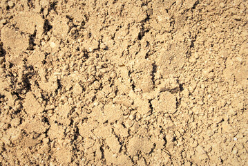 The texture of the sand.