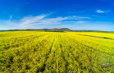 Meadows with a plant in a valley with fields against the background of the daytime sky in Bulgaria