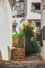 Fototapeta na wymiar white alleys between houses of an Andalusian village