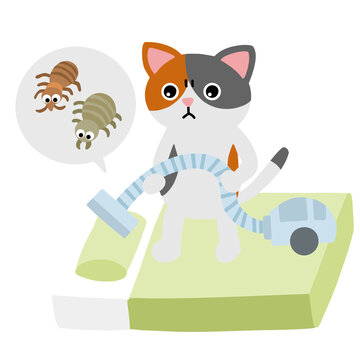 三毛ねこ の画像 35 449 件の Stock 写真 ベクターおよびビデオ Adobe Stock