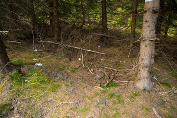 Polluted forest near the hiking trail in the mountains. Environmental Protection