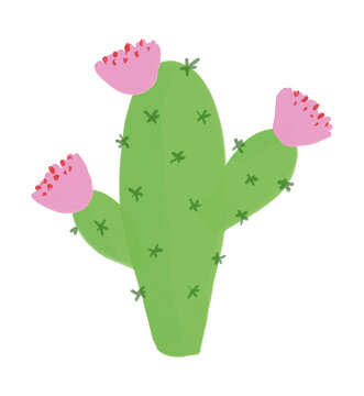 Simple Hand Drawn Vector Illustration with Green Blooming Cactus on a White Background. Infantile Style Funny Cactus with Pink Flowers Ideal for Card, Greetings, Wall Art, Poster.