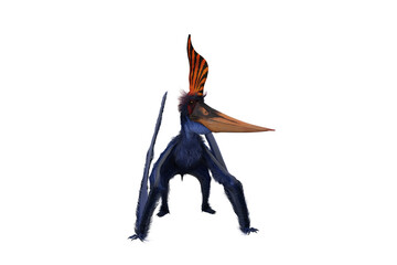 Blue Pteranodon with orange crest standing with wings folded. 3D illustration isolated on white with clipping path. © IG Digital Arts