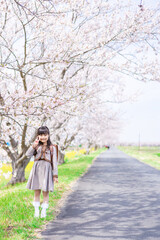 Fototapeta premium 桜の木の下でピースをする女の子