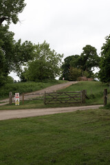 Timber stack cut from local forest