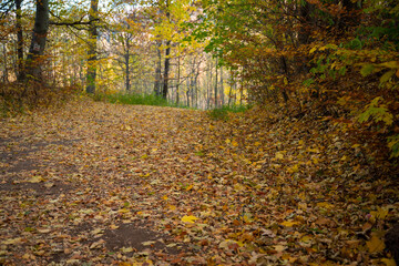 Mountain hiking trail during the fall season. Sunny day.