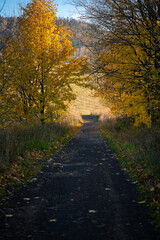 Obraz premium Mountain hiking trail during the fall season. Sunny day.