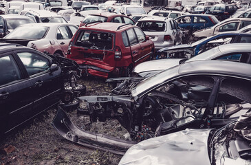 Junk yard with many wrecked car