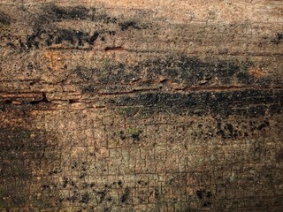 Old and grunge wood texture