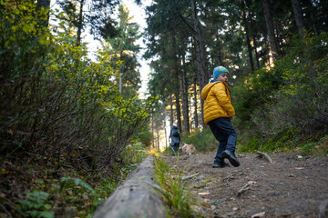 Obraz premium A mother with a child and a dog are walking along the mountain hiking trail. Family spending time.