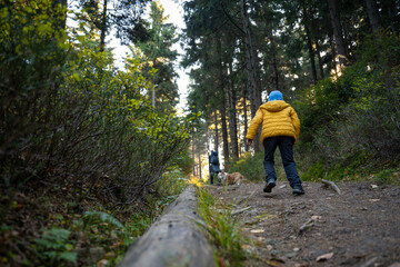 Obraz premium A mother with a child and a dog are walking along the mountain hiking trail. Family spending time.