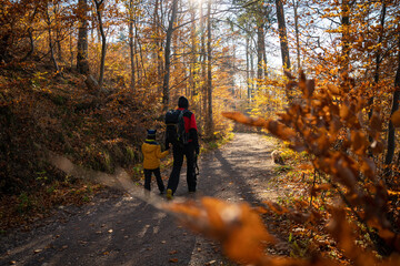 Obraz premium A mother with a child and a dog are walking along the mountain hiking trail. Family spending time.