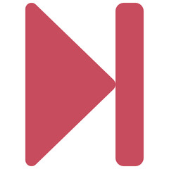 Skip Arrow Icon