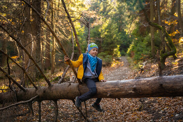 Naklejka na ściany i meble Little kid sitting on a fallen tree on a mountain trail. Fall season