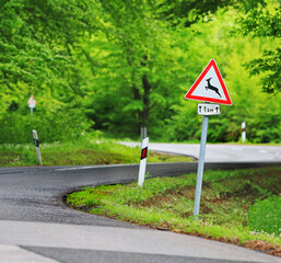 Traffic in forest road with deer caution roadsign