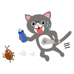 ゴキブリを追いかける猫　殺虫剤と丸めた新聞紙