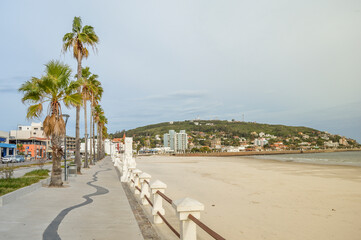 Fototapeta na wymiar Palm trees and sidewalk by the beach on a sunny day in Piriapolis, Maldonado, Uruguay