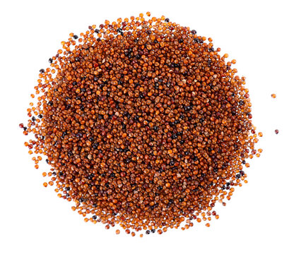 Canihua grains isolated on white background. Pile of qaniwa, qanawa, qanawi or kaniwa seeds. Dry grains of chenopodium pallidicaule. Top view.