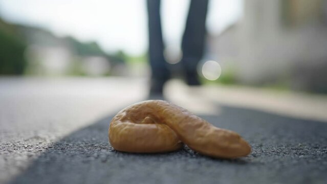 Brown dog crap on sidewalk almost stepped on by person feet slow mov 4K