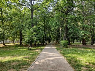 Fototapeta na wymiar alley in the park in May - Baia Mare city, Romania