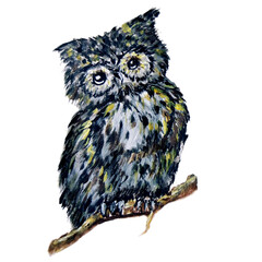 Gray silver owl. Owl illustration. Traditional acrylic painting. Cute owl on a branch. Gray silver feathers.
