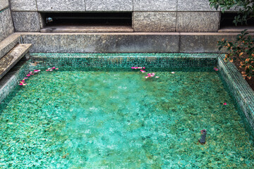 Rose petals float on the water surface of an ancient fountain in emerald water with marble walls, a soothing natural backdrop for relaxation and reflection