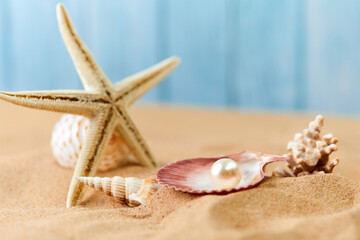 Fototapeta na wymiar sea shells and pearl on sand