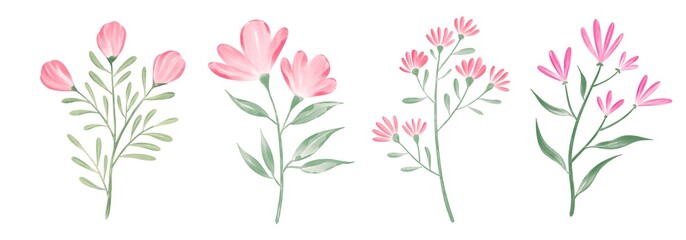 Fototapeta na wymiar Set Watercolor flowers. Hand painted floral illustration. pink flowers