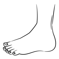 人体のパーツ 白黒のカットイラスト素材 / 足