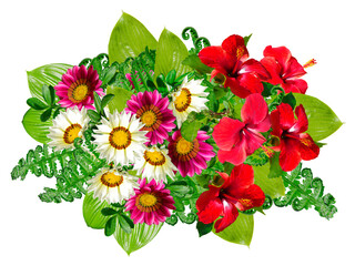 A bouquet of hibiscus and gerbera flowers with green leaves of a fern and other plants isolated on a white background.