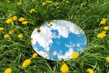 nature concept - sky reflection in round mirror on summer field with dandelion flowers