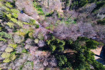 Aerial view of winding hiking trail in the woods at local mountain Uetliberg on a sunny spring day. Photo taken April 21st, 2022, Zurich, Switzerland.