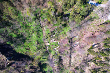 Aerial view of winding hiking trail in the woods at local mountain Uetliberg on a sunny spring day. Photo taken April 21st, 2022, Zurich, Switzerland.