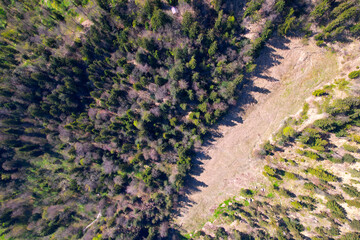 Naklejka na ściany i meble Aerial view of winding hiking trail in the woods at local mountain Uetliberg on a sunny spring day. Photo taken April 21st, 2022, Zurich, Switzerland.